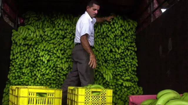 Бананы на складе