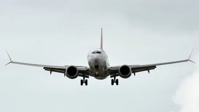 Авиалайнер Boeing 737 MAX авиакомпании Gol