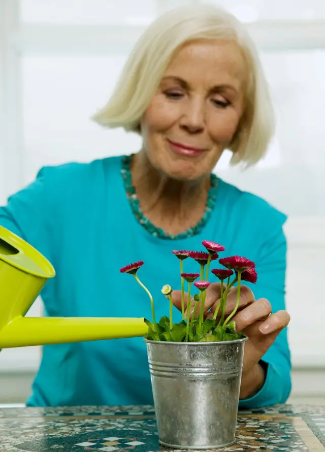 Mujer madura regando planta