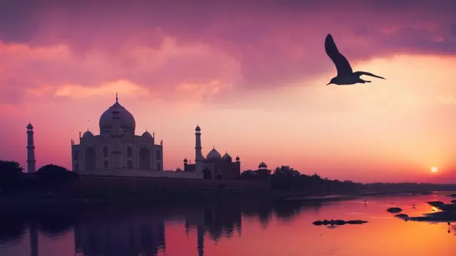 டிரம்ப் இந்திய வருகை: கங்கை நீரால் சுத்தம் செய்யப்படும் யமுனை நதி