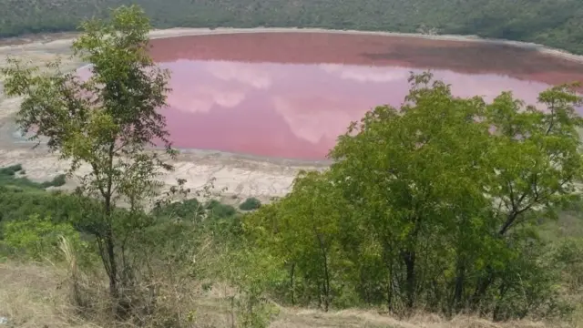 இளஞ்சிவப்பு நிறத்தில் மாறிய ஏரி - என்ன காரணம் ? - தினத்தந்தி