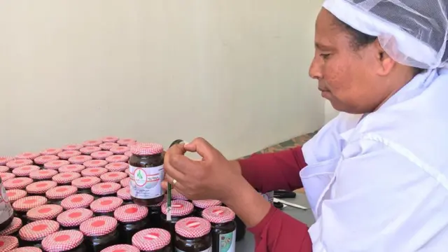 ጸጋ ምስ ጽማቝ በለስ