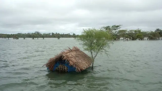 Flooding for Madagascar scata many things