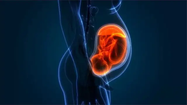 પ્રતિકાત્મક તસવીર