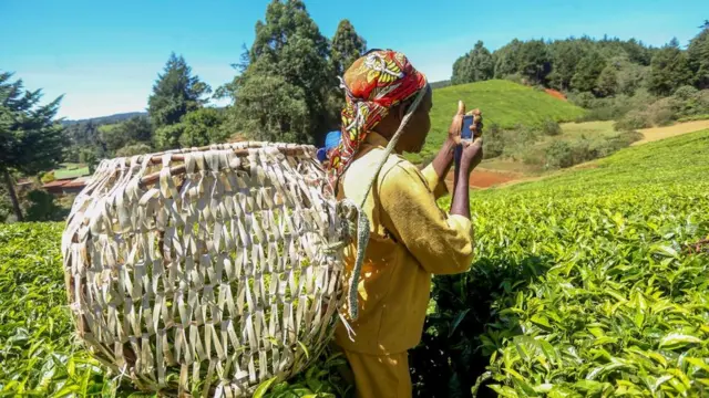 Mwanamke akiwa na simu ya mkononi