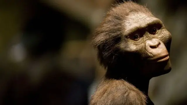 다윈은 "자연선택은 극히 미미한 유전적 변화가 보존되고 축적되었을 때만 일어날 수 있다"라고 말했다