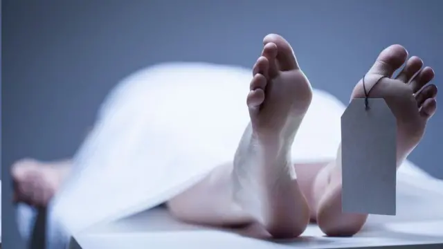 france bodies