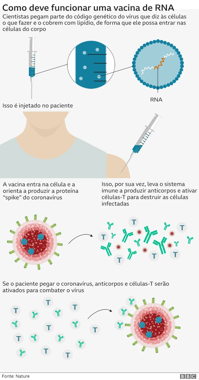 Gráfico mostra funcionamento da vacinabasquete virtual bet365RNA