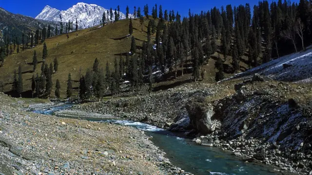 કાશ્મીર