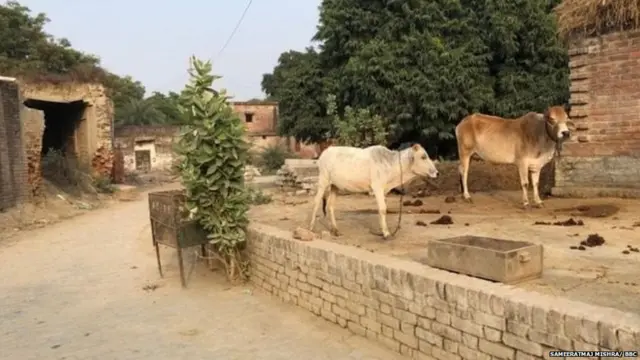 उन्नाव बलात्कार प्रकरण