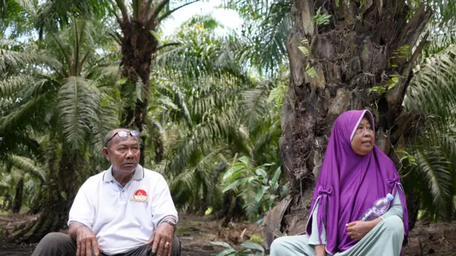 Samria bersama suaminya sedang mengamati lahan miliknya yang kini berubah menjadi perkebunan sawit.