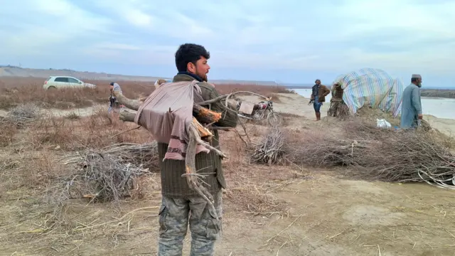 یک مرد که جنگل قطع شده را حمل می‌کند 