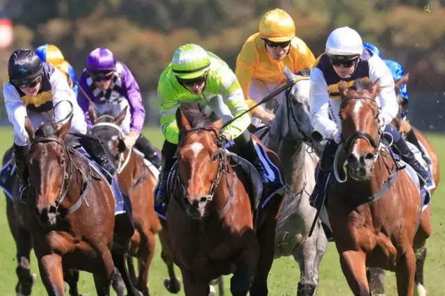 గుర్రాల రేసు