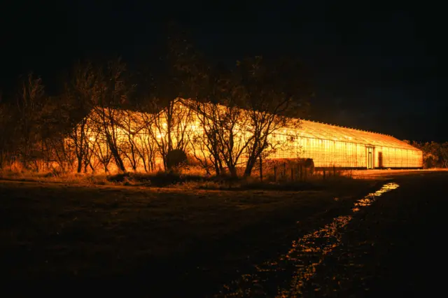 ग्रीन एनर्जी फूड प्रोडक्शन