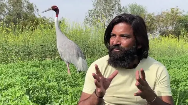 కొంగ స్నేహితుడు