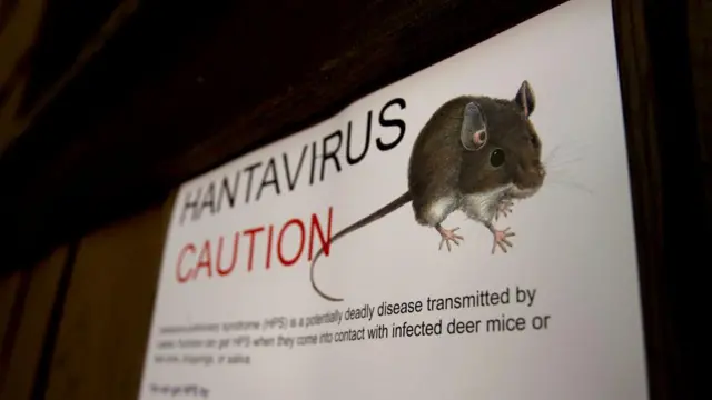 Tanda peringatan hantavirus dipasang di seluruh Taman Nasional Yosemite, California, AS, pada 28 Agustus 2012.