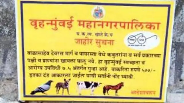 पाळीव व भटक्या प्राण्यांसंदर्भात बृहन्मुंबई महानगरपालिकेकडून मार्गदर्शक तत्त्वे जारी करण्यात आली आहेत.