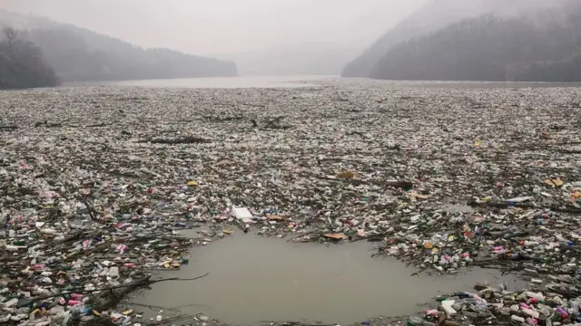 Danau, Serbia, 2021