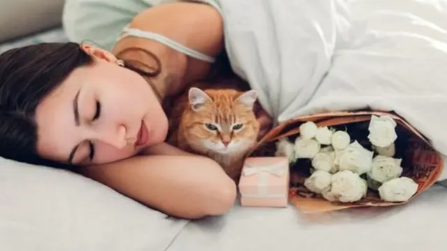 Yuxu, yuxusuzluq, 8 saatlıq yuxu, keyfiyyətli yuxu