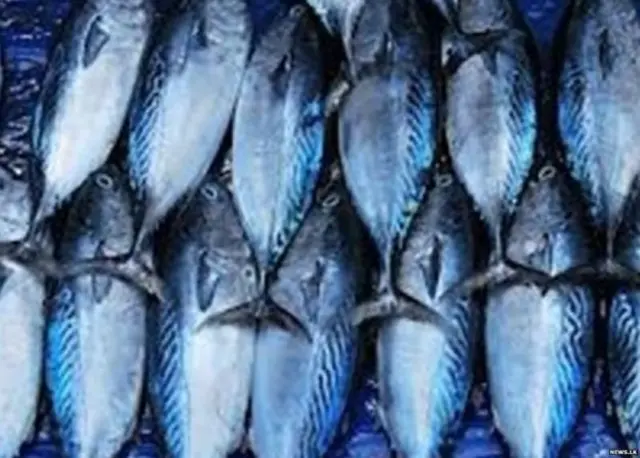 කෙලවල්ලෝ