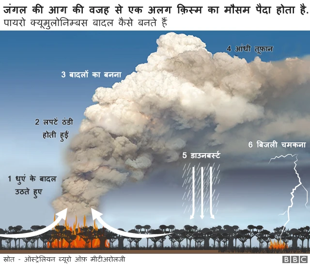 ऑस्ट्रेलिया में जंगल की आग