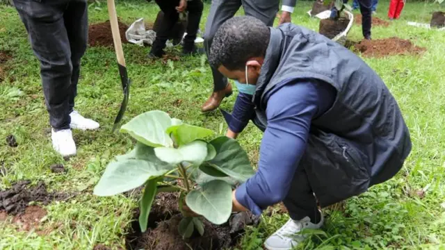 Kantiibaa Itti - aanaa magaalaa Finfinnee