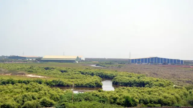 ఈ ప్రాంతంలోని మత్స్య సంపదపై బతుకుతున్న వేలాది మంది మత్స్యకారులు