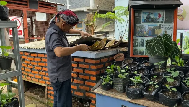 Buruan SAE KWT Kebun Sauyunan 