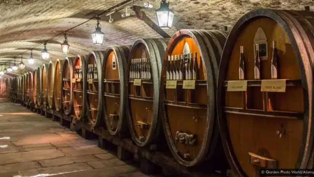 શરાબની બૉટલોની તસવીર