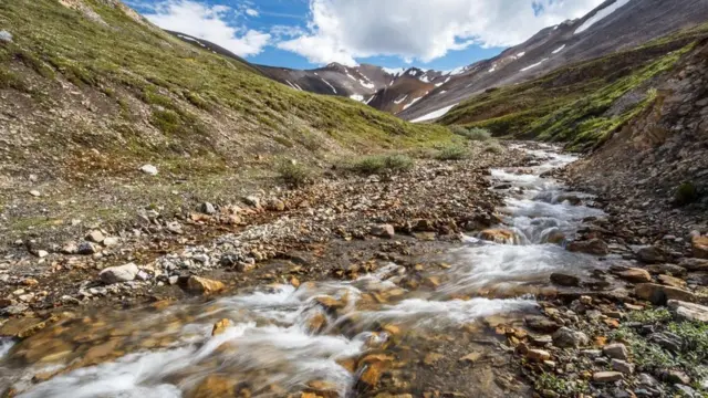 （图片来源：Vivien Cumming）