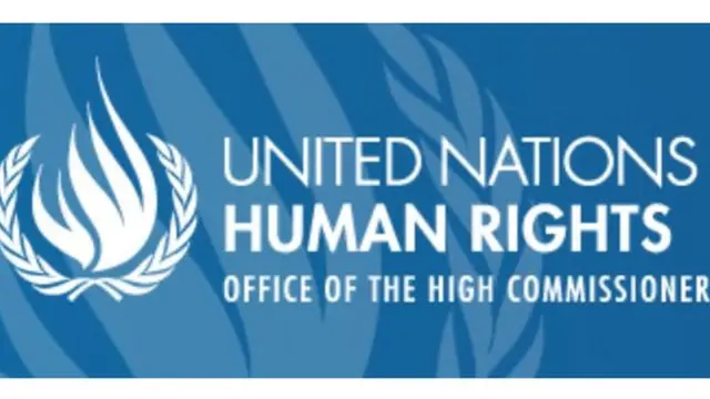 ماموران ویژه سازمان ملل در بیانیه خود گفته اند که بازداشت احمدرضا جلالی "خودسرانه" بوده و محاکمه وی "زیر اعتراف اجباری، تحت شکنجه و در دادگاهی غیرمنصفانه" و "به شکل فاحشی ناعادلانه" بوده است.