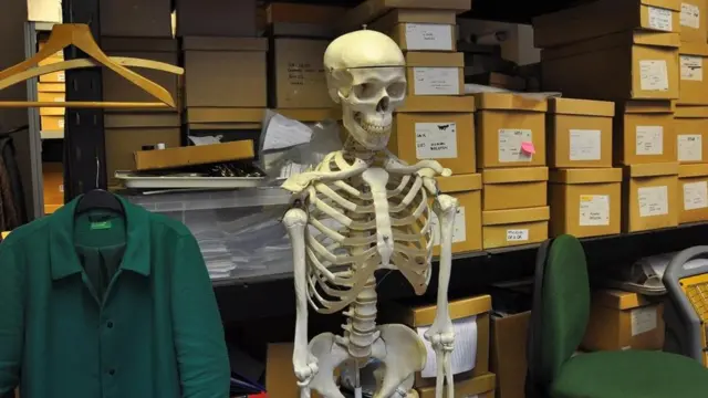 Cajas y un esqueleto colgado en las oficinas del Museo
