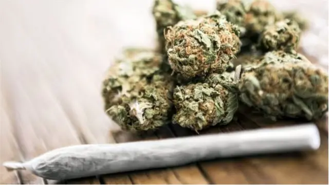 যাদের মস্তিষ্কের গঠন প্রক্রিয়া এখনো চলছে. গাঁজা তাতে ক্ষতিকর প্রভাব রাখে বলে বলছেন গবেষকরা