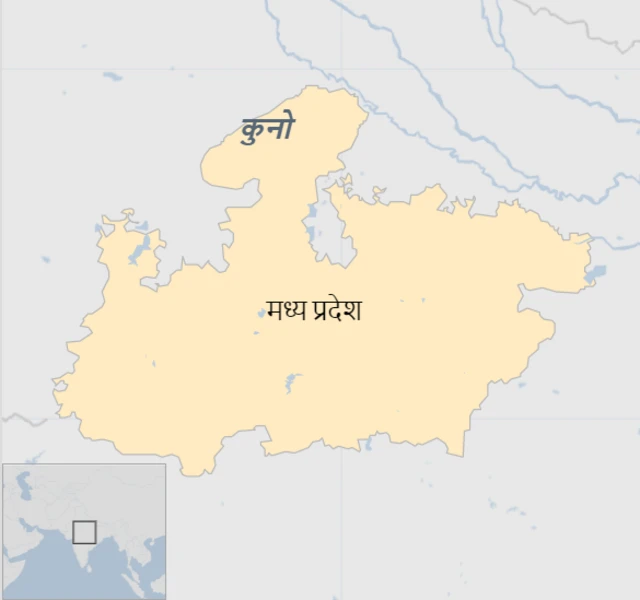 कुनो नॅशनल पार्क