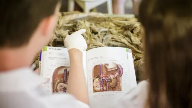 Aulaestrela bet aviãoanatomia na UFMG