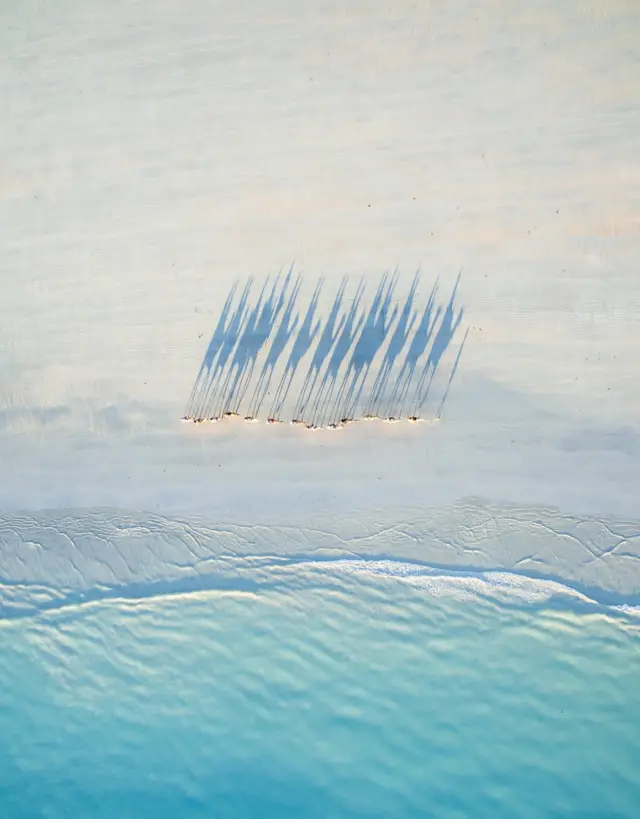 상공에서 바라 본 호주 케이블 해변. 해변을 따라 낙타 한 무리가 걷고 있다.