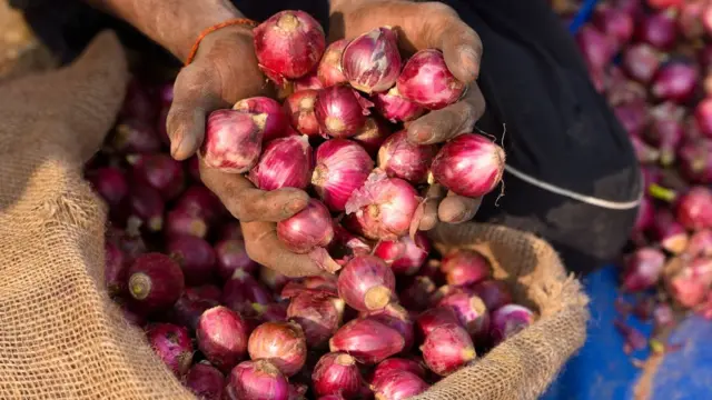 வெங்காயம்