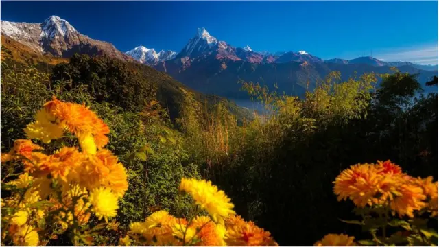 مچھاپوچھارے