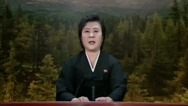 2011년 북한 조선중앙TV 아나운서가 검은 상복을 입은 채 김정일 국방위원장이 과로로 열차에서 사망했다고 발표하고 있다
