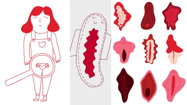 Gráficos del libro Period