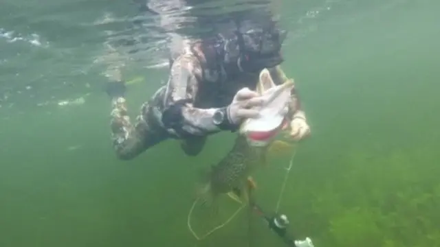 ปูตินจับปลา