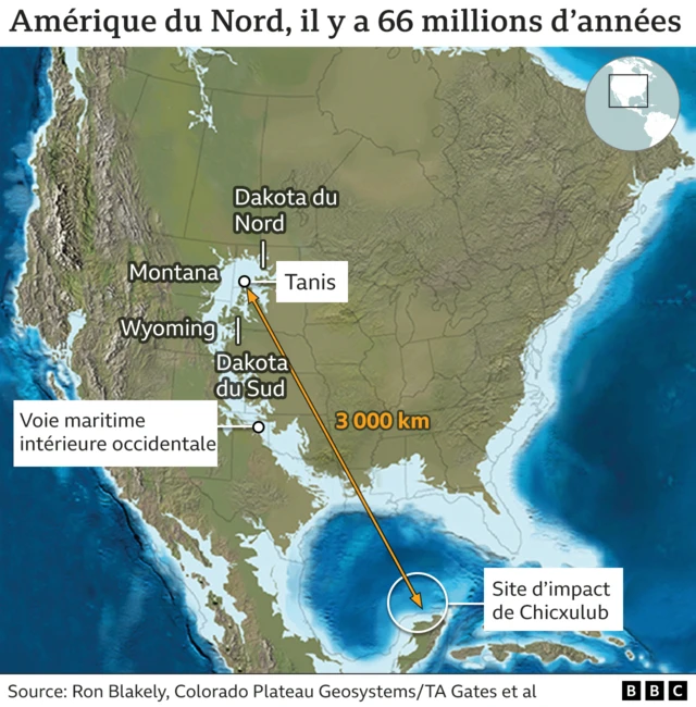 Graphique site de Tanis