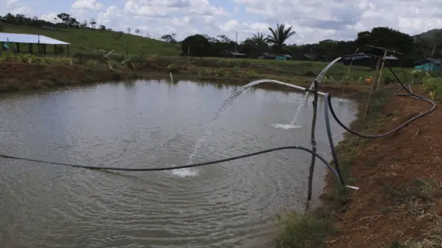 Poço para criaçãovirtual bwinpeixes perto do hotel da Farc