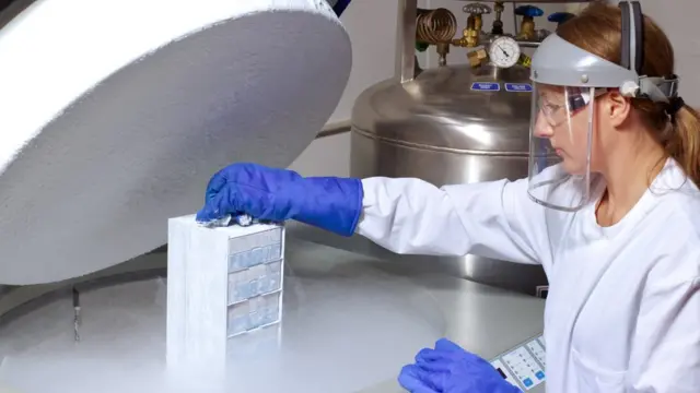 अंडाणु फ़्रीज़