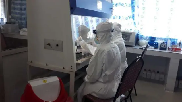 परीक्षणकर्ताहरू