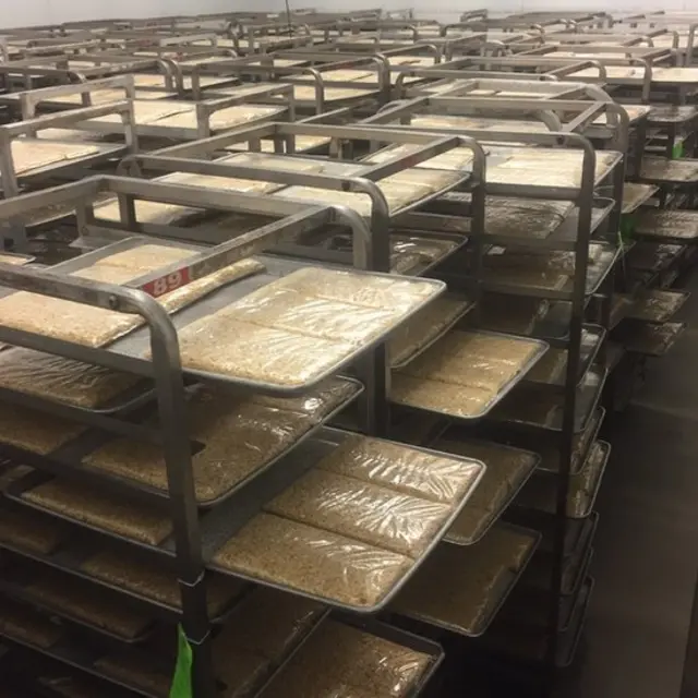 Produksi awal tempe di Oregon.