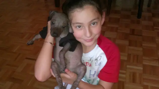 Una niña con un perrito
