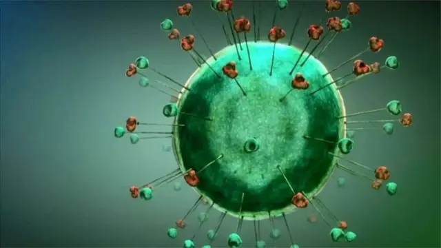 ఆవిరి పట్టడం