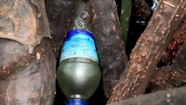 papua, hari air sedunia, Hutan perempuan, hari hutan