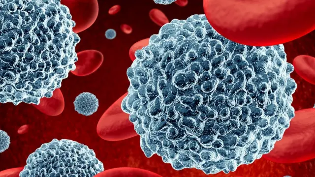 Белые кровяные тельца под электронным микроскопом